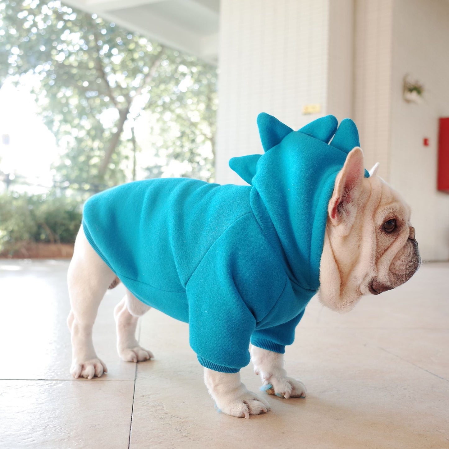 Pet Fleece Solid Color Hoodie