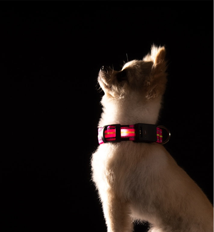 Fiber Optic Waterproof Magnetic Charging Pet Collar