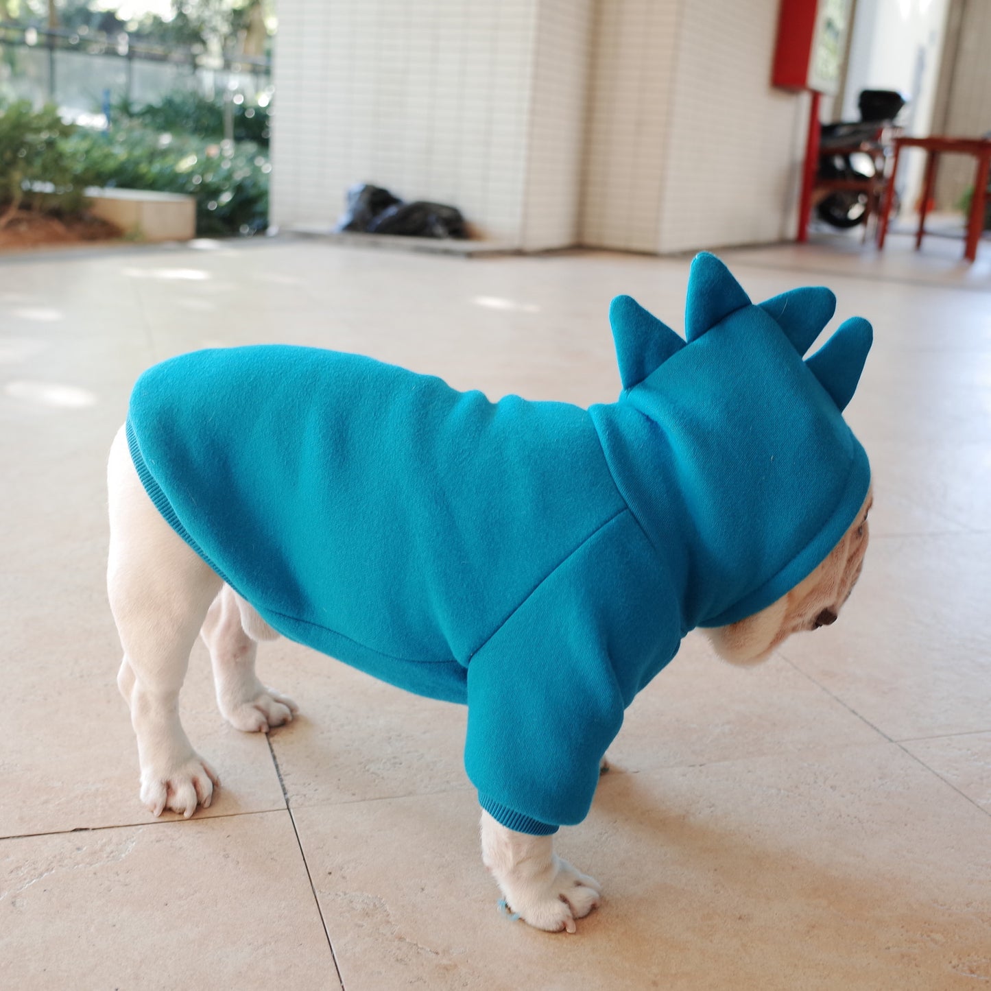 Pet Fleece Solid Color Hoodie