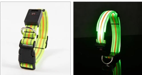 Fiber Optic Waterproof Magnetic Charging Pet Collar