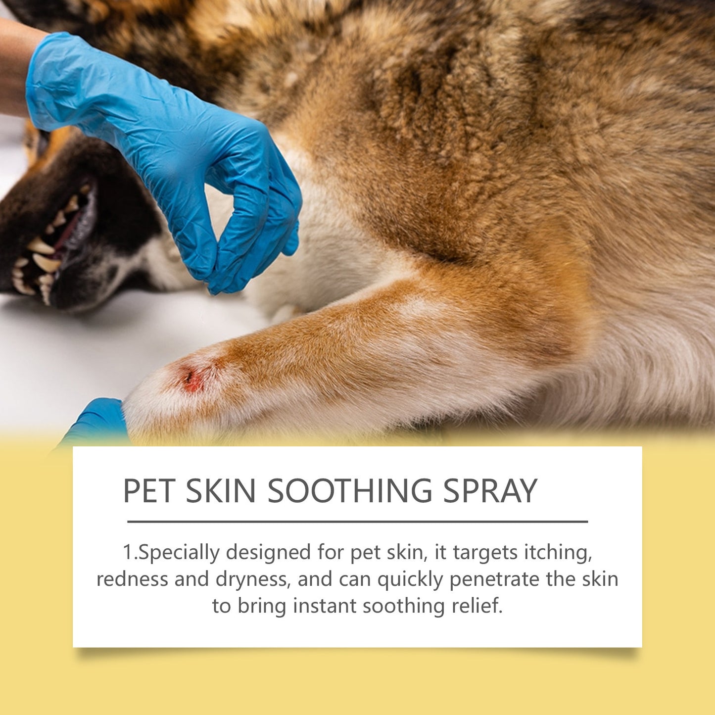 Pet Skin Care Spray Gentle Relief