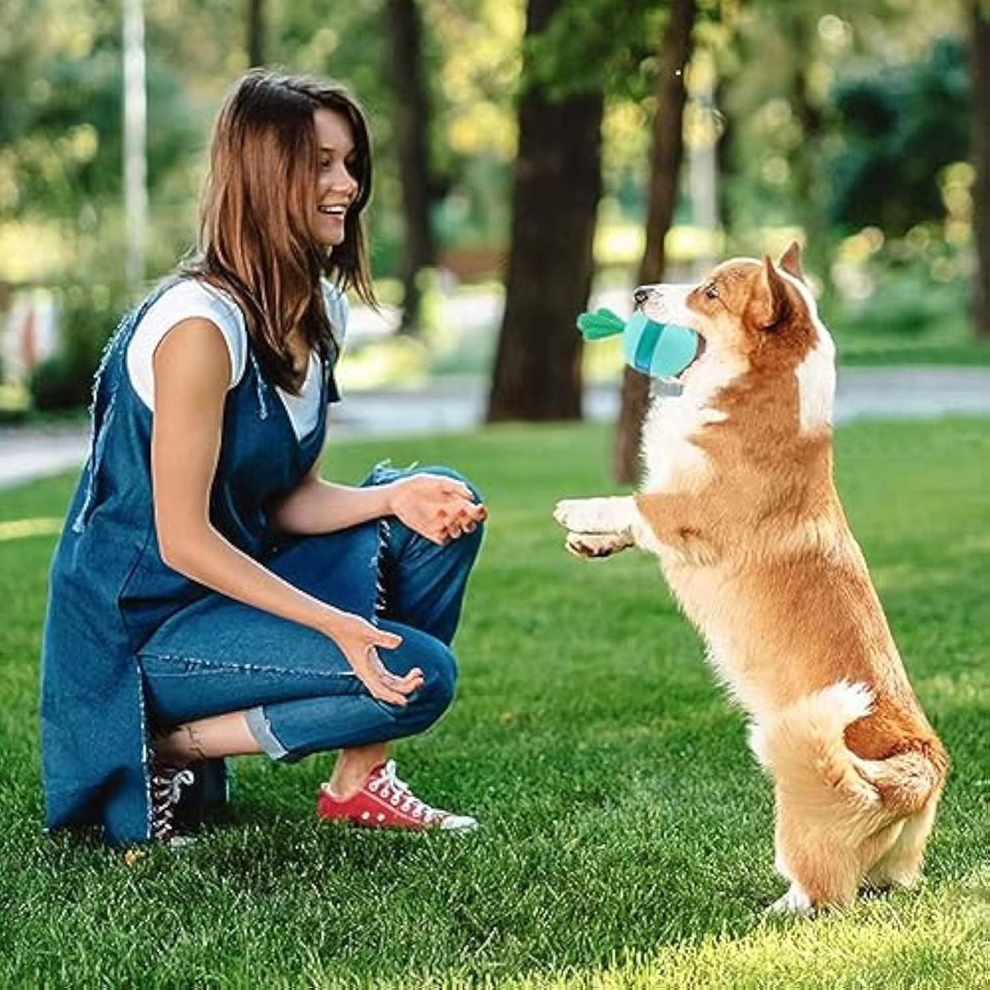 Interactive Treat Dispensing Toys