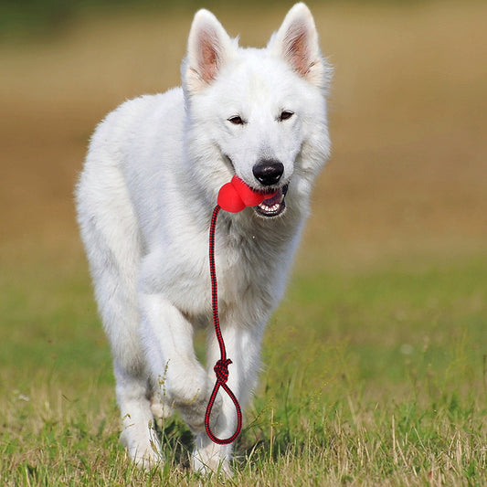 Pet Toy Natural Rubber Rope Hoist