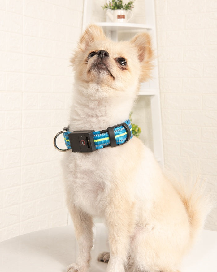 Fiber Optic Waterproof Magnetic Charging Pet Collar