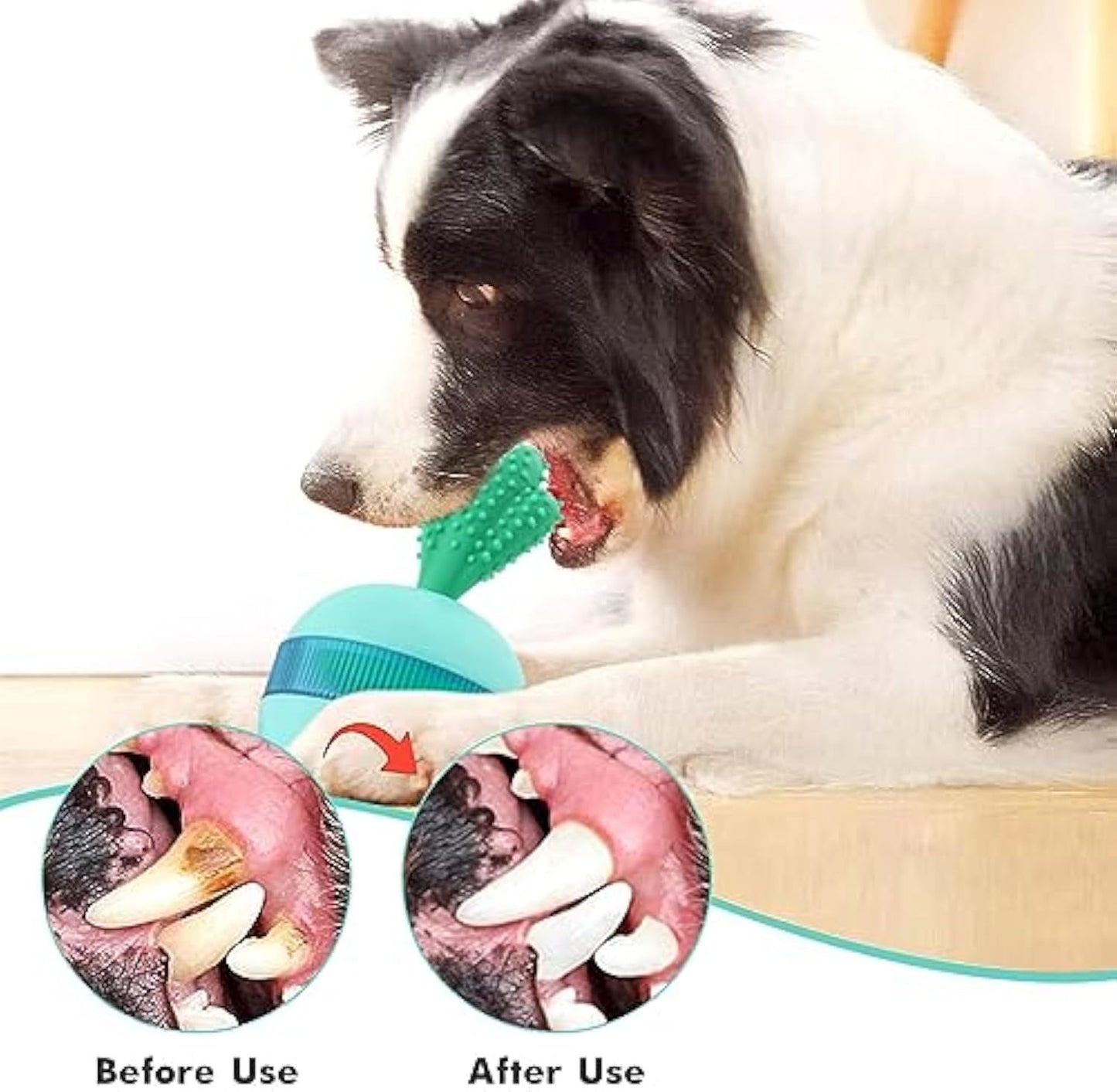 Interactive Treat Dispensing Toys