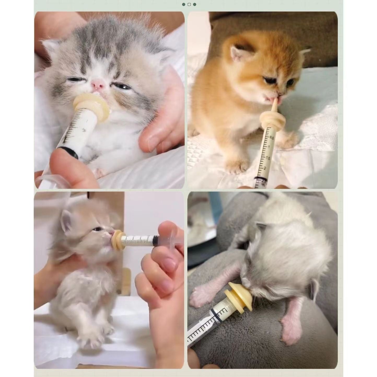 Kitten And Puppy, Pet Needle Feeding Device